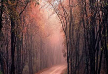 叉车用高能量密度电池：提升仓储效率的关键