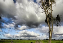 牵引蓄电池技术参数详解：提升电动运输的关键