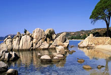 工业车辆蓄电池解决方案：提升效率和可靠性的关键